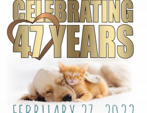 Happy Tails Newsletter: February, 2022