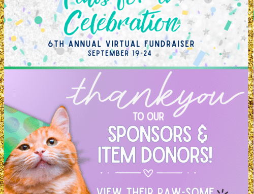 Happy Tails Newsletter: Be a Hero for Shelter Pets