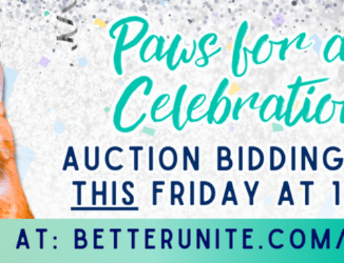 Happy Tails Newsletter: Shelter Pets Need You – Auction Starts Friday!